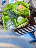 Balanced Food Bag